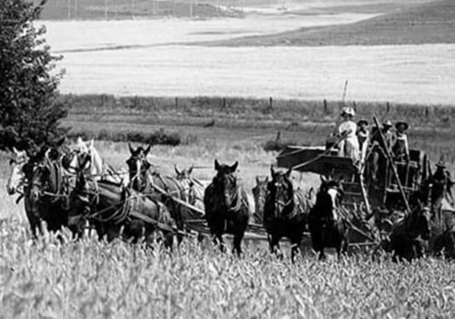 The Evolution of Nonprofit Organizations in Pasco, Washington: A Comprehensive History